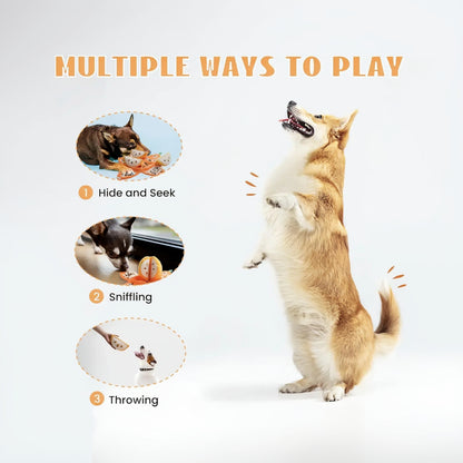 Nocciola 5-In-1 Orange Dog Enrichment Toys, 4 Orange Slices with a Peel Snuffle Mat for Treats Hunting Fun, Squeaky Hide and Seek Puzzle Dog Toy for Medium Dogs