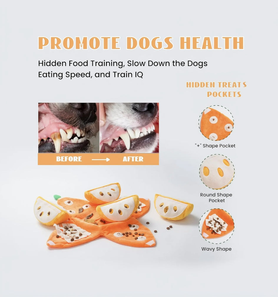 Nocciola 5-In-1 Orange Dog Enrichment Toys, 4 Orange Slices with a Peel Snuffle Mat for Treats Hunting Fun, Squeaky Hide and Seek Puzzle Dog Toy for Medium Dogs